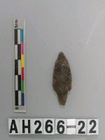 藏品(帶鋌打製石鏃)的圖片